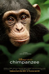 Chimpanzee Movie Poster